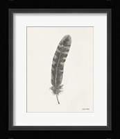 Springtime Feather I Framed Print