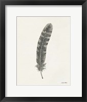 Springtime Feather I Fine Art Print