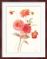 Summer Dahlias I Fine Art Print