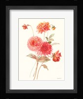 Summer Dahlias I Fine Art Print