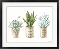 Desert Greenhouse VII Fine Art Print