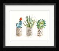 Desert Greenhouse VIII Framed Print