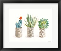 Desert Greenhouse VIII Framed Print