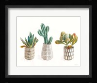 Desert Greenhouse VI Framed Print