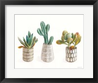 Desert Greenhouse VI Framed Print