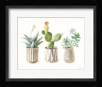 Desert Greenhouse IX Framed Print