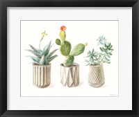 Desert Greenhouse IX Framed Print