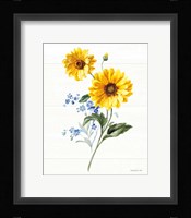Bees and Blooms Flowers V Framed Print