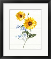 Bees and Blooms Flowers V Framed Print