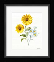 Bees and Blooms Flowers IV Framed Print