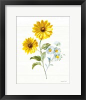 Bees and Blooms Flowers IV Framed Print