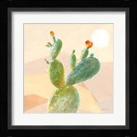 Desert Greenhouse IV Framed Print