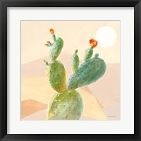 Desert Greenhouse IV Framed Print