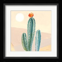 Desert Greenhouse III Framed Print