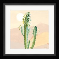 Desert Greenhouse II Framed Print