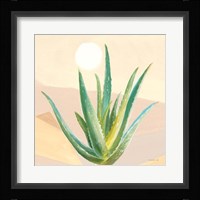 Desert Greenhouse V Framed Print
