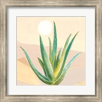 Desert Greenhouse V Fine Art Print