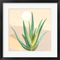 Desert Greenhouse V Fine Art Print