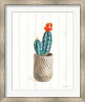 Desert Greenhouse XI Fine Art Print