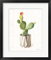 Desert Greenhouse XII Framed Print