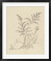 Vintage Nature Sketchbook VI Fine Art Print