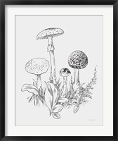 Natures Sketchbook II Bold Light Gray Fine Art Print