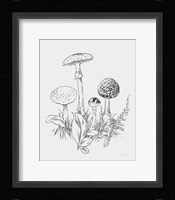 Natures Sketchbook II Bold Light Gray Fine Art Print