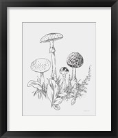 Natures Sketchbook II Bold Light Gray Framed Print