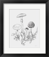 Natures Sketchbook II Bold Light Gray Framed Print