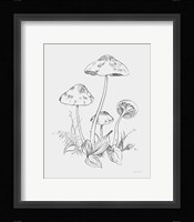 Natures Sketchbook III Bold Light Gray Fine Art Print