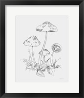 Natures Sketchbook III Bold Light Gray Framed Print