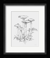 Natures Sketchbook I Bold Light Gray Fine Art Print