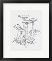 Natures Sketchbook I Bold Light Gray Framed Print