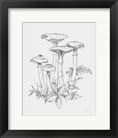 Natures Sketchbook I Bold Light Gray Framed Print