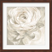 White Rose Gray Fine Art Print
