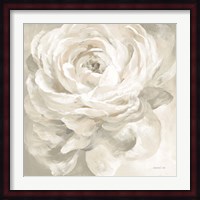 White Rose Gray Fine Art Print