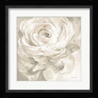 White Rose Gray Fine Art Print