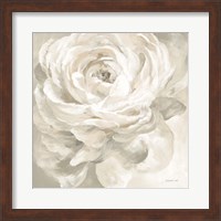 White Rose Gray Fine Art Print