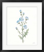 Flowers of the Wild III Fine Art Print