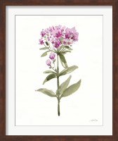Flowers of the Wild II Fine Art Print