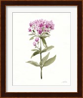 Flowers of the Wild II Fine Art Print