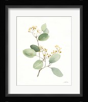 Flowers of the Wild I Framed Print