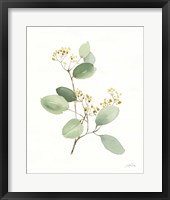 Flowers of the Wild I Framed Print