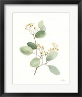 Flowers of the Wild I Framed Print