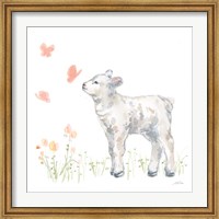 Spring Lamb IV Fine Art Print
