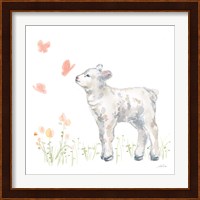 Spring Lamb IV Fine Art Print