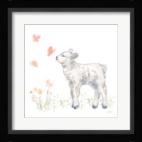 Spring Lamb IV Fine Art Print