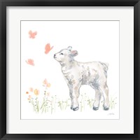 Spring Lamb IV Framed Print