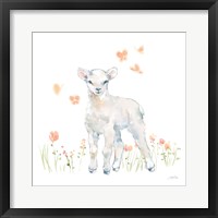 Spring Lambs II Framed Print