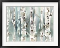 Winter Birches v2 Fine Art Print